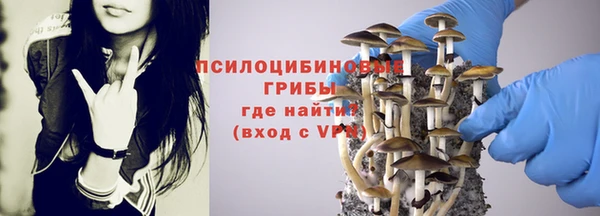 трава Дмитровск