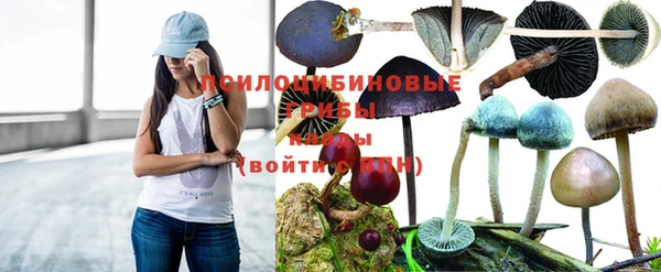 круглые Дмитров